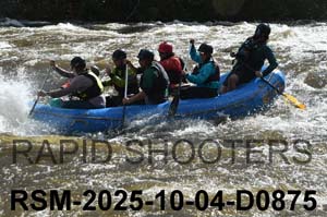 RSM-2025-10-04-D0875