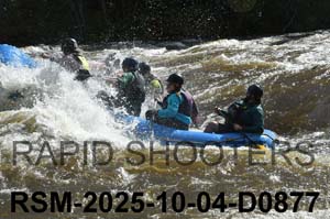 RSM-2025-10-04-D0877