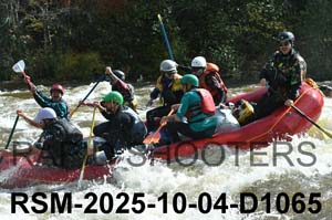 RSM-2025-10-04-D1065