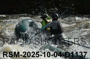 RSM-2025-10-04-D1137