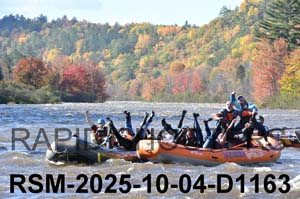 RSM-2025-10-04-D1163