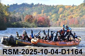 RSM-2025-10-04-D1164