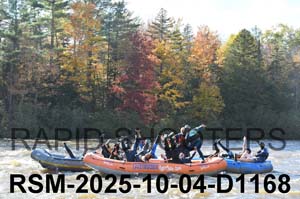 RSM-2025-10-04-D1168