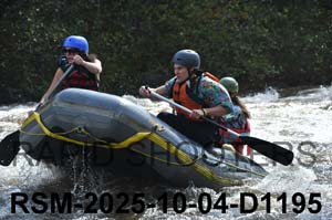 RSM-2025-10-04-D1195