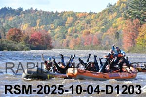 RSM-2025-10-04-D1203