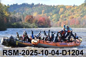 RSM-2025-10-04-D1204