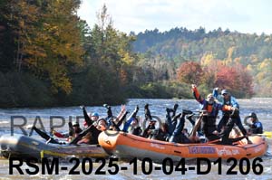 RSM-2025-10-04-D1206