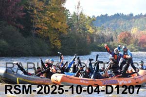 RSM-2025-10-04-D1207
