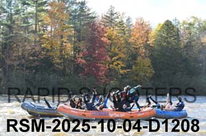 RSM-2025-10-04-D1208