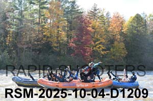 RSM-2025-10-04-D1209