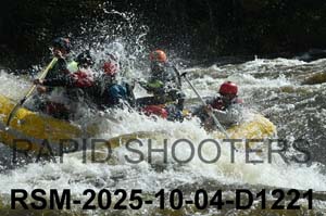 RSM-2025-10-04-D1221