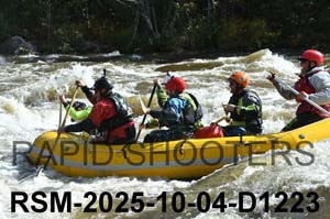 RSM-2025-10-04-D1223