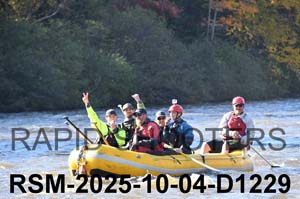RSM-2025-10-04-D1229