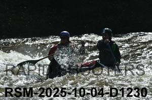 RSM-2025-10-04-D1230