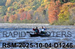 RSM-2025-10-04-D1246