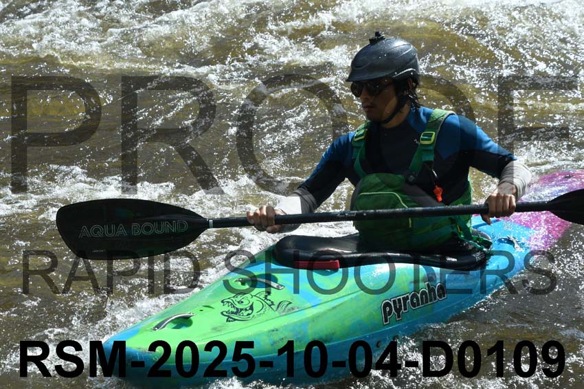 RSM-2025-10-04-D0109