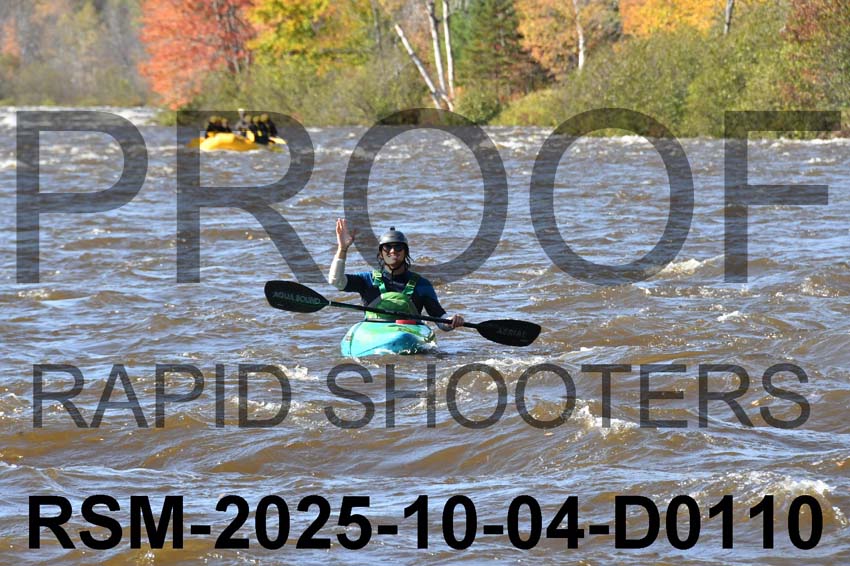 RSM-2025-10-04-D0110