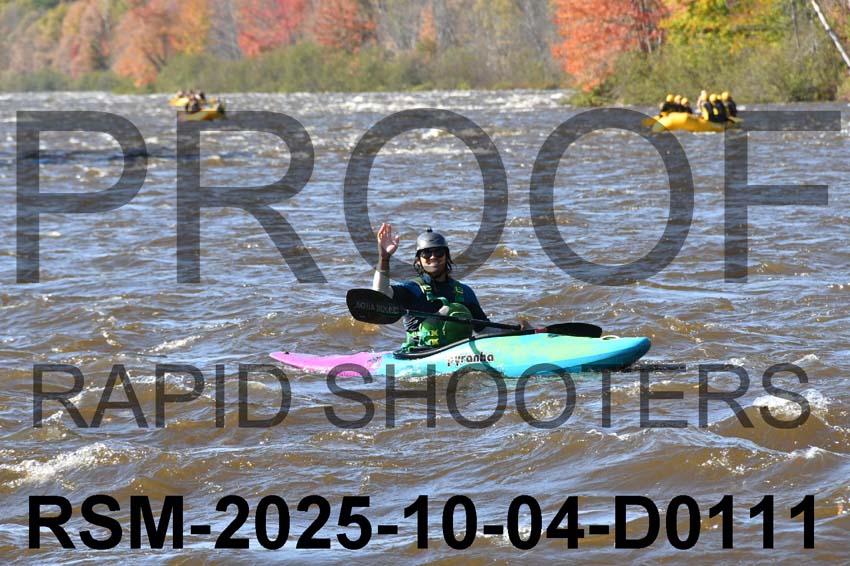 RSM-2025-10-04-D0111