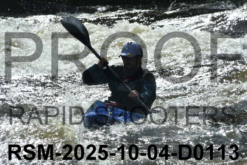 RSM-2025-10-04-D0113
