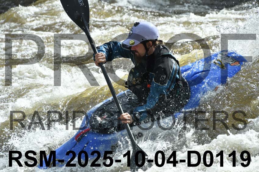 RSM-2025-10-04-D0119