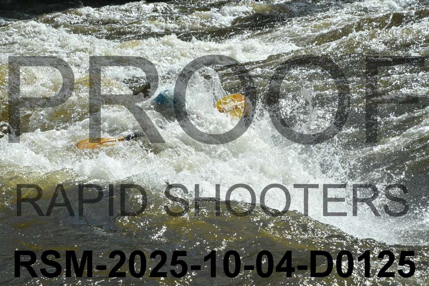 RSM-2025-10-04-D0125