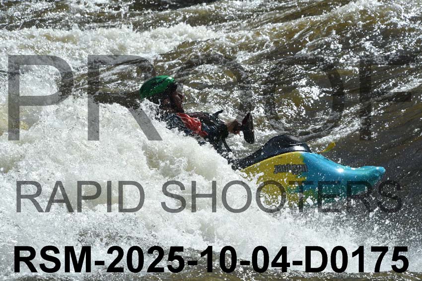 RSM-2025-10-04-D0175