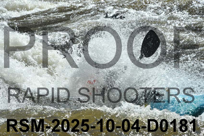 RSM-2025-10-04-D0181