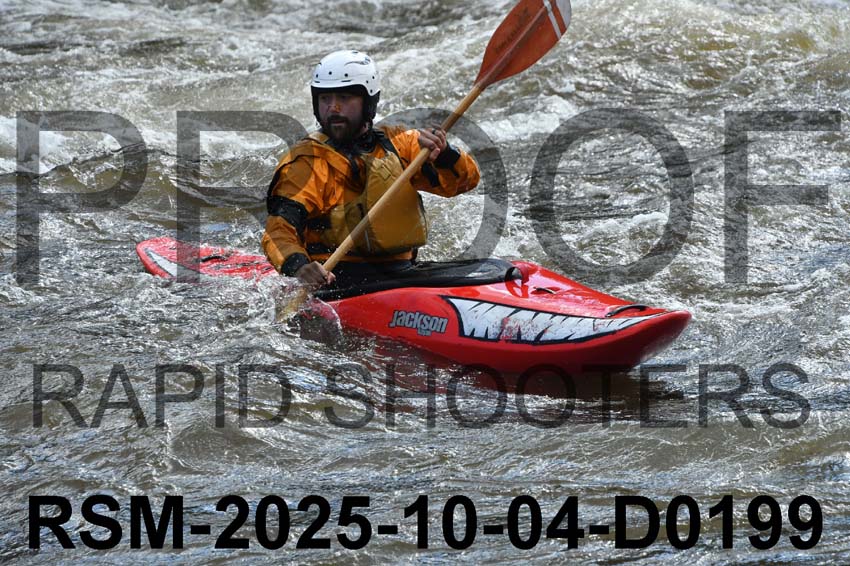 RSM-2025-10-04-D0199