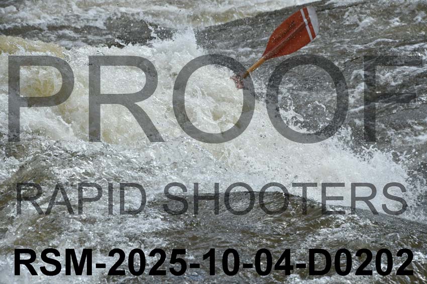 RSM-2025-10-04-D0202