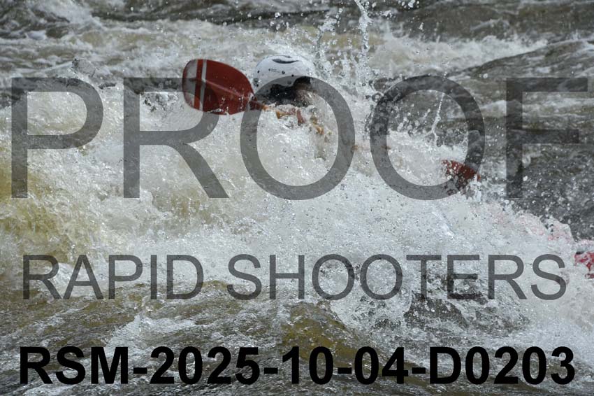RSM-2025-10-04-D0203