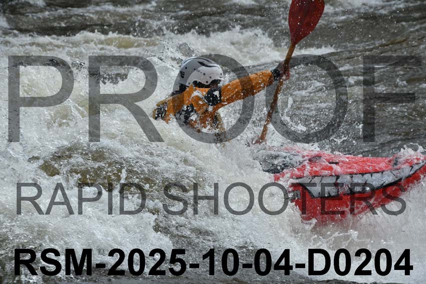 RSM-2025-10-04-D0204