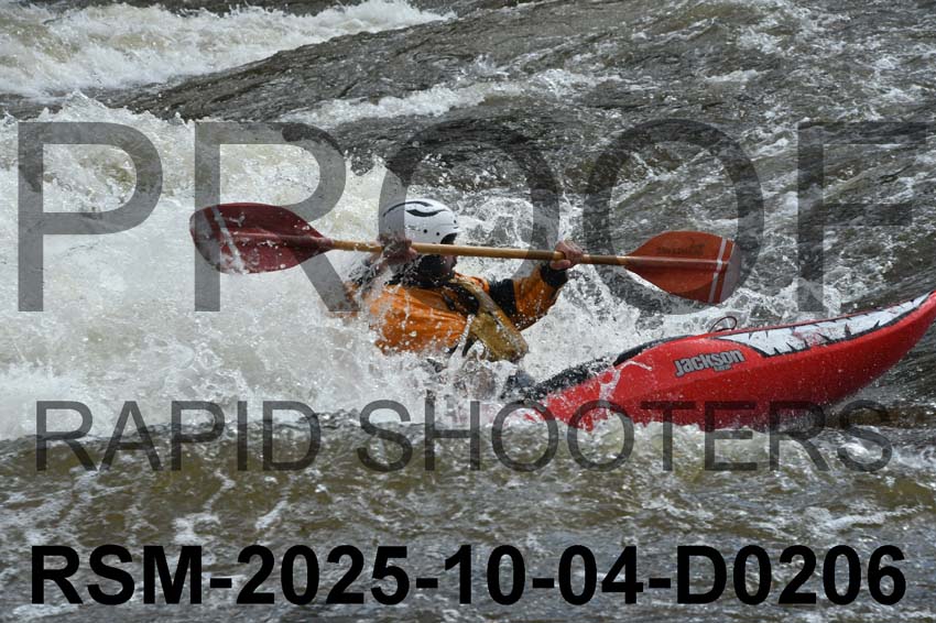 RSM-2025-10-04-D0206