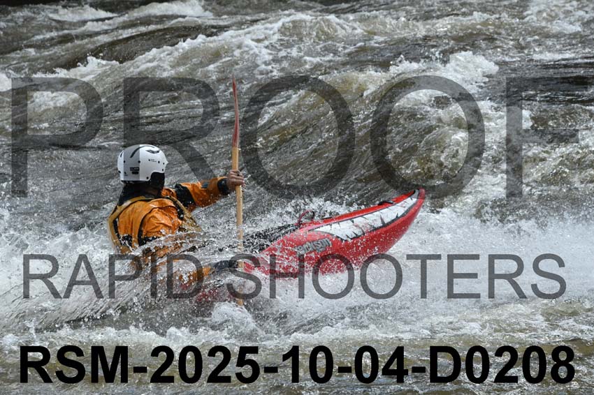 RSM-2025-10-04-D0208