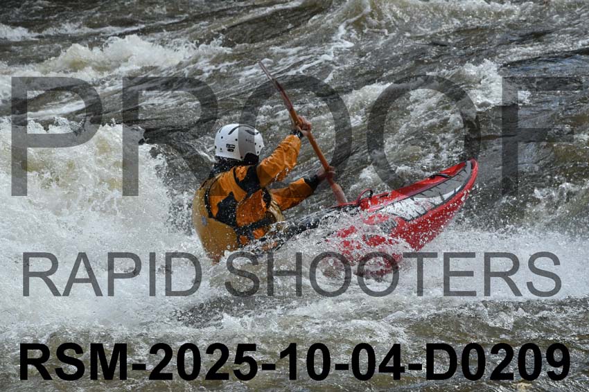 RSM-2025-10-04-D0209