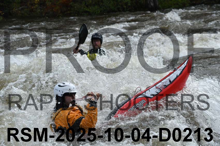 RSM-2025-10-04-D0213