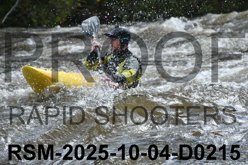RSM-2025-10-04-D0215