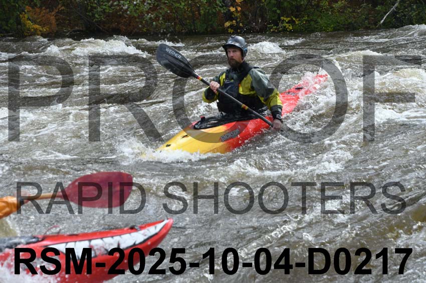 RSM-2025-10-04-D0217