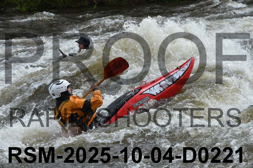 RSM-2025-10-04-D0221