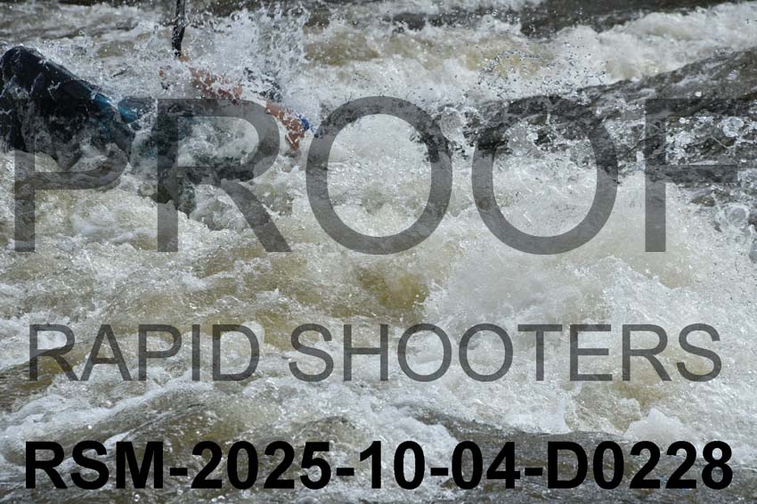RSM-2025-10-04-D0228