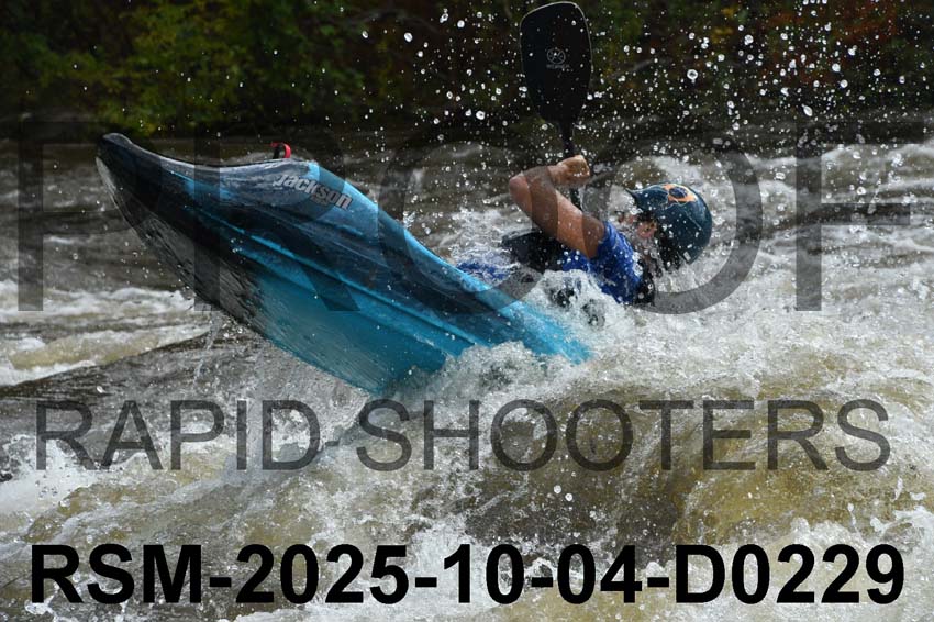 RSM-2025-10-04-D0229