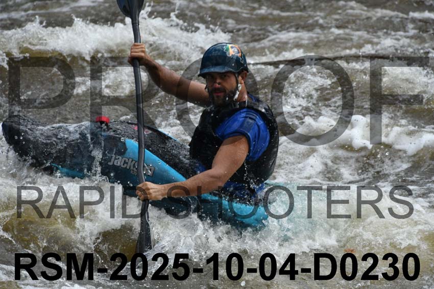 RSM-2025-10-04-D0230