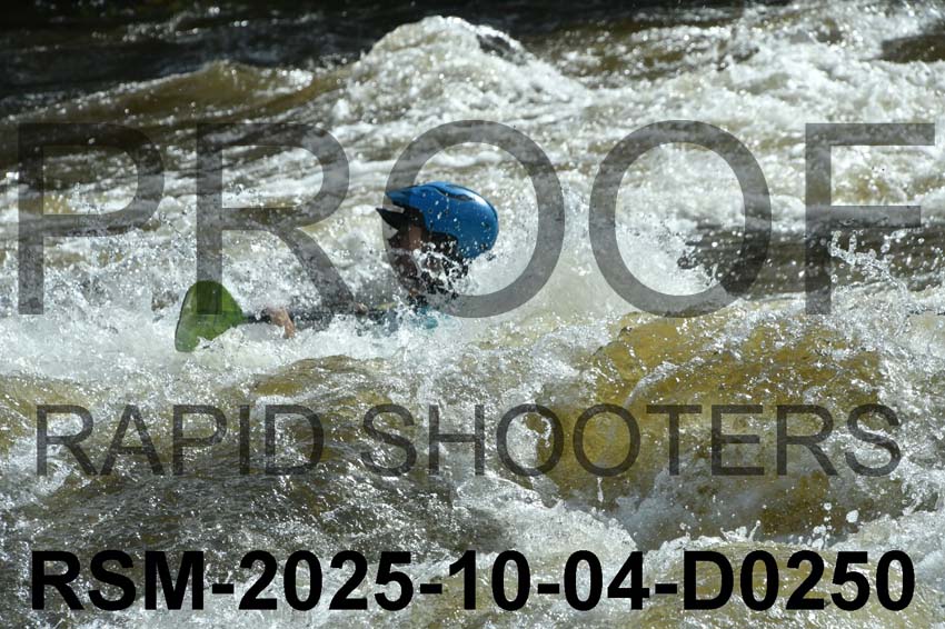 RSM-2025-10-04-D0250