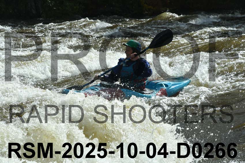 RSM-2025-10-04-D0266