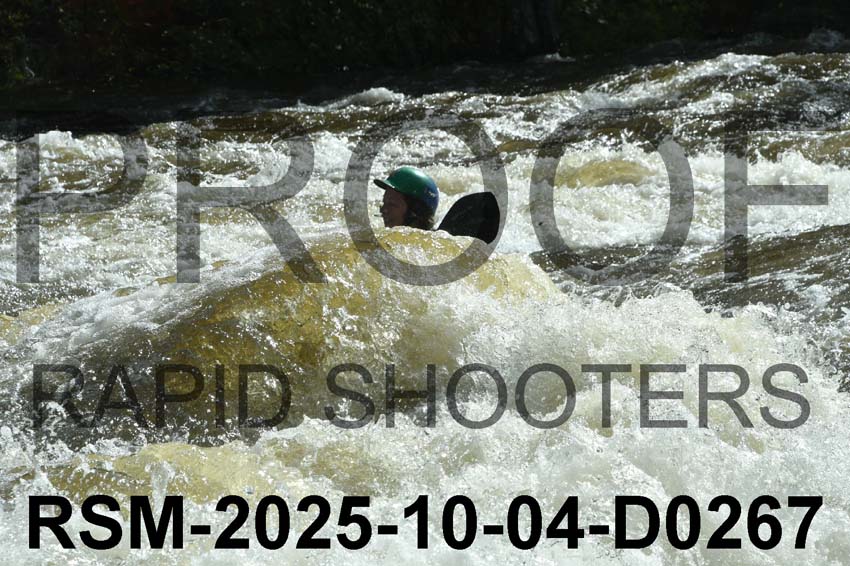 RSM-2025-10-04-D0267