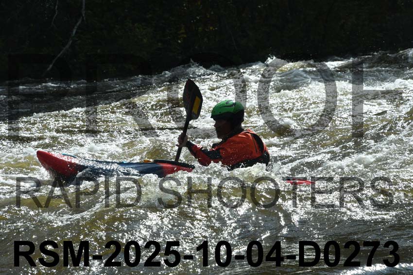 RSM-2025-10-04-D0273