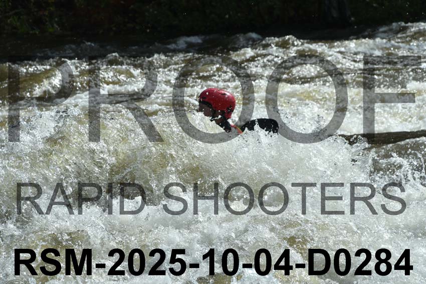 RSM-2025-10-04-D0284