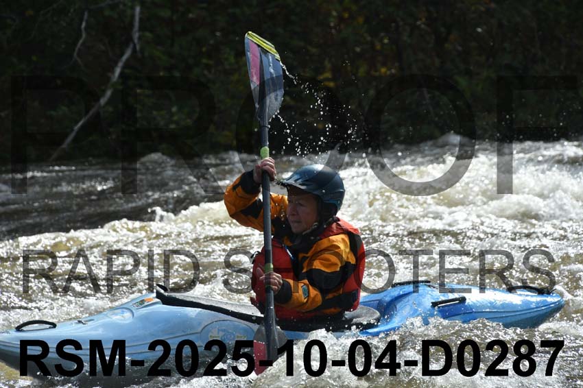 RSM-2025-10-04-D0287