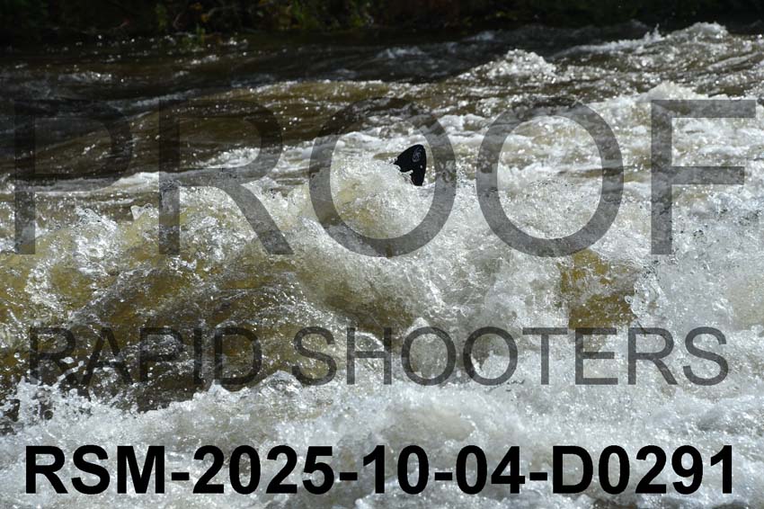 RSM-2025-10-04-D0291