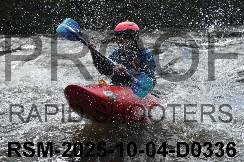 RSM-2025-10-04-D0336