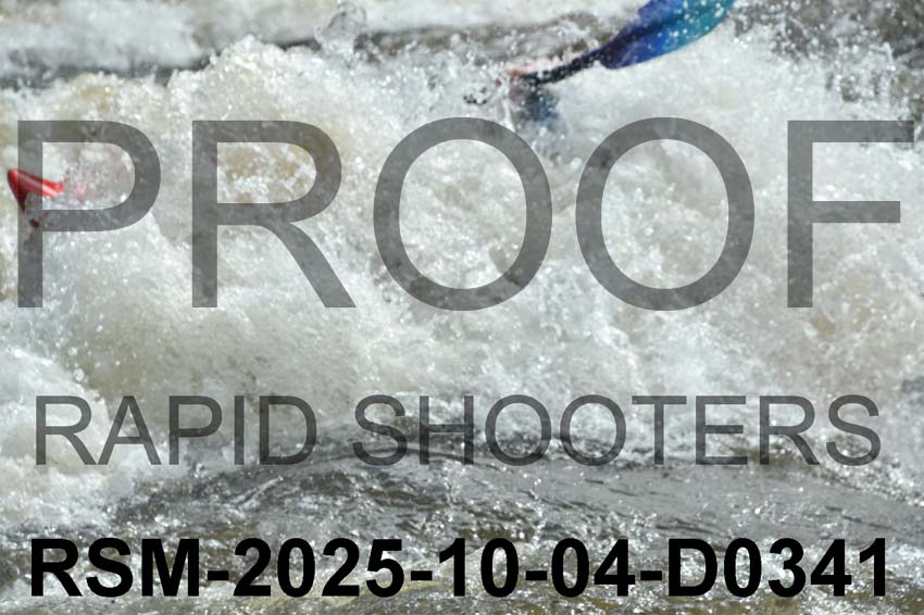 RSM-2025-10-04-D0341
